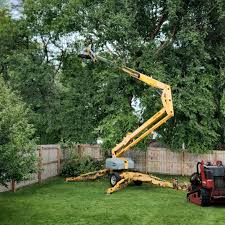 Best Commercial Tree Services  in Mukilteo, WA